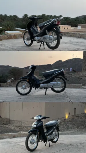 دراج نضيف جدًا