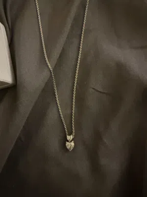 Pandora Necklace