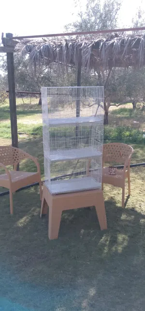 اقفاص جديدة اخر كميه