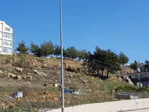 Land in Sawfar for sale