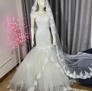 فساتين زفاف فخمين جداً لبسة اولى فقط شبه جداد للبيع بسعر مغررررري