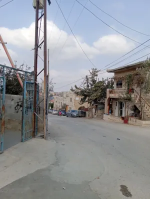 محمد  ابو عياش 