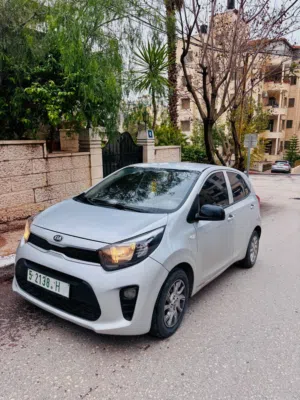 Kim morning 2019 سعر حرق