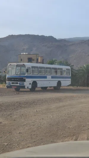 باص للبيع ينتهي شهر 12