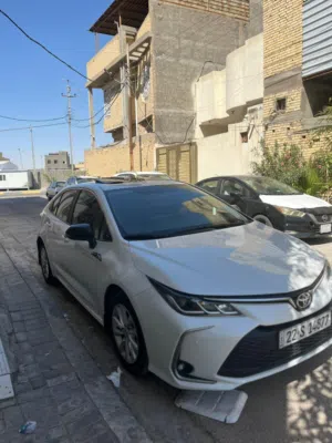 كورلا ساس 2025