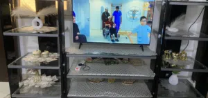 طاولات  عدد 3