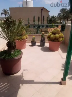 مجموعه من الصبارات النادره للبيع