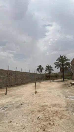 توفر نص دونم في الجزيرة