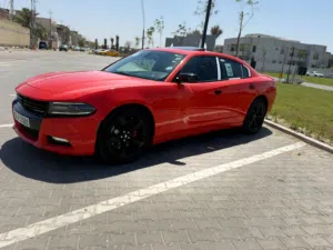 جارجر 18 ارتي خليجي كفاله عامه وكاله هارلم