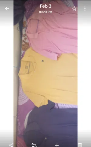 Selections of Branded T-Shirts