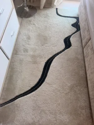 Carpet and sofa cover