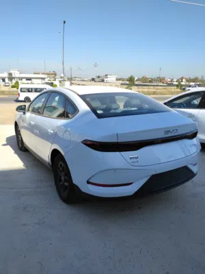 BYD QIN PLUS 2025 BRAND NEW ZERO KM
