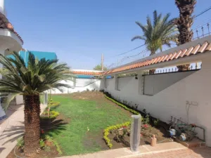 Monthly . 800 m20