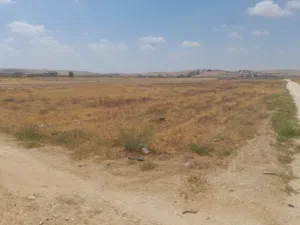 Farm Land for Sale in Mafraq Bala'ama