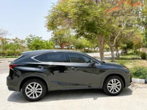 Lexus NX 300 single lady driven SUV platinum trim 2020 model
