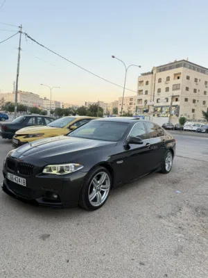 BMW 528i F10 platinum
