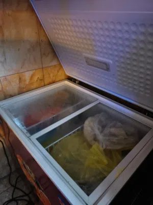مجمدة للبيع وبيها مجال بسيط