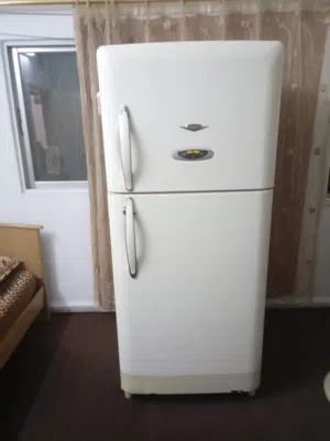 ثلاجة نوع دايو