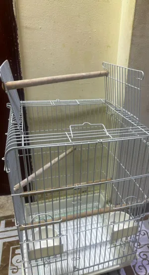 Bird's  Cage
