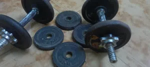 16kg dumbbell set