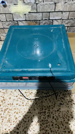 فقصات دجاج