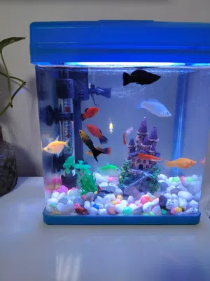 حوض سمك كامل مع الأسماك