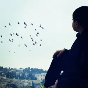 عمر المغربي 