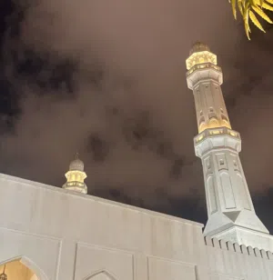 محمد المشيخي 