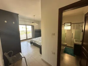 شقة 3 نوم مفروشة للايجار ( Property 48748 )-164980