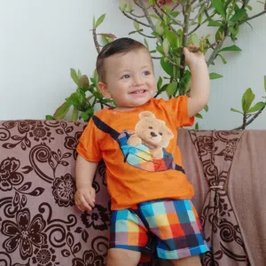 زيدان ألشــلول 
