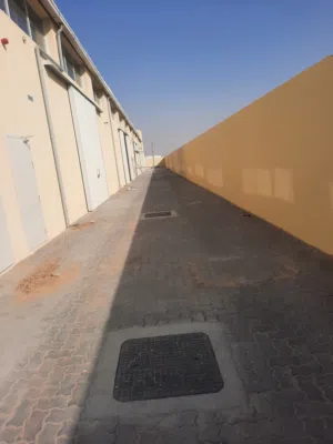 Almared alakhdar 