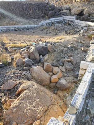 Mixed Use Land for Sale in Sana'a Al-Ashash