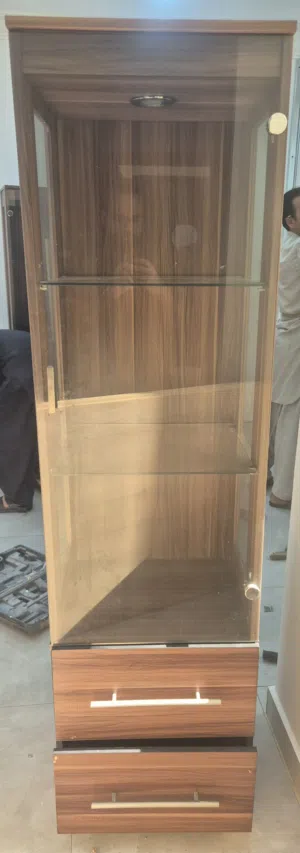 Cabinet with 2 drawers