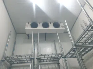 Wanted For Rent Coldstore Chiller Meat.