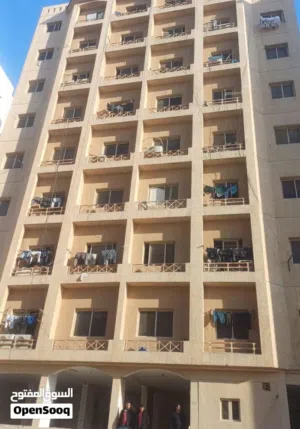 مطلوب شخص لمشاركة سكان قطعه 12 السالميه بقرب من شارع عمان