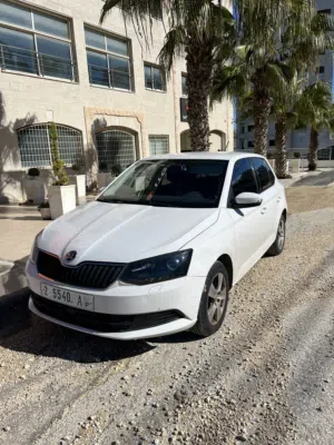 Used Skoda Fabia in Nablus