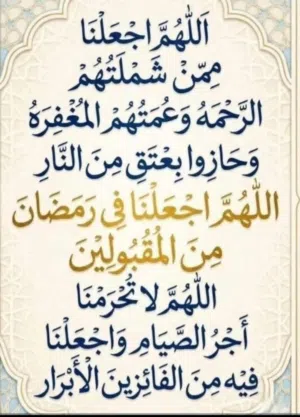 السلام عليكم مطلوب ماعز مواليد شامي أو بلدي أو نعاج مواليد