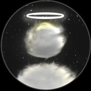 عبدالله فيصل الريسي