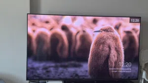 Sony Bravia KD-85X9000H 85” (2020 Model) – Excellent Condition