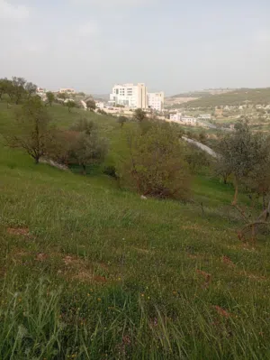 Commercial Land for Sale in Ajloun I'bbeen