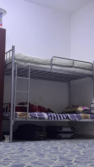 Bunk bed for sale