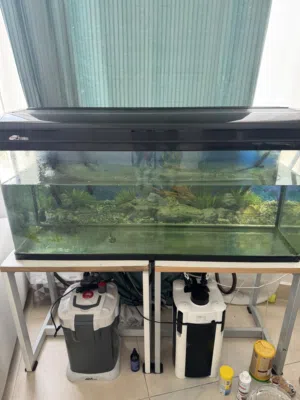 Fish Tank 115 Cm aquarium