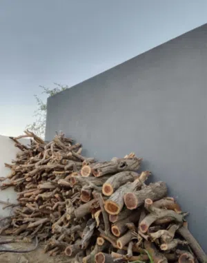 حطب سمر ماشاء الله نضيف