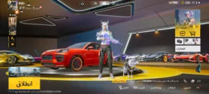 كلشي واضح بل فيديو موجود بل شارقة التعاون