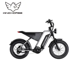 Electric Bicycles . New3