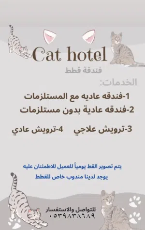 فندق قطط وترويش قطط