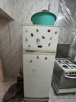 تلاجه كريازى 14 قدم