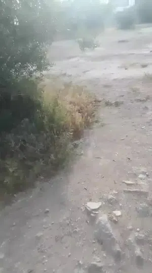 Residential Land for Sale in Mafraq Al-Khalidya