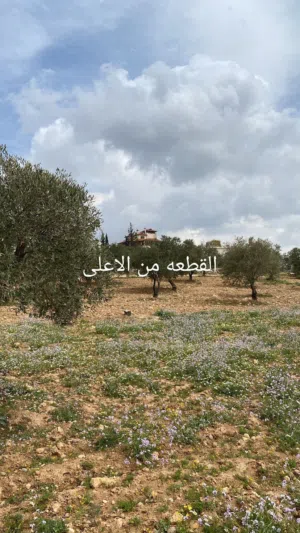 Farm Land for Sale in Jerash Other