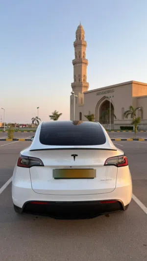 Used Tesla Model Y in Al Batinah